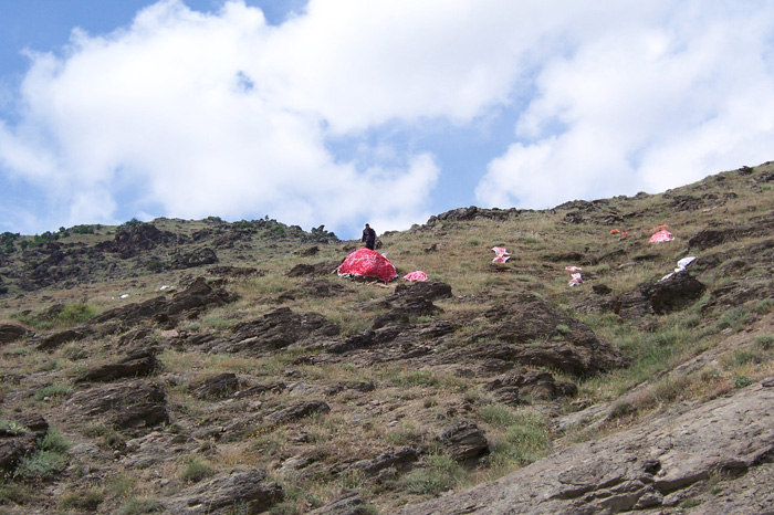 images/erga_spoudaston/gelos_small/gelos_dimiourgia (6).jpg